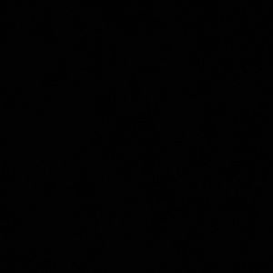 Meet your Posher, Sylvana